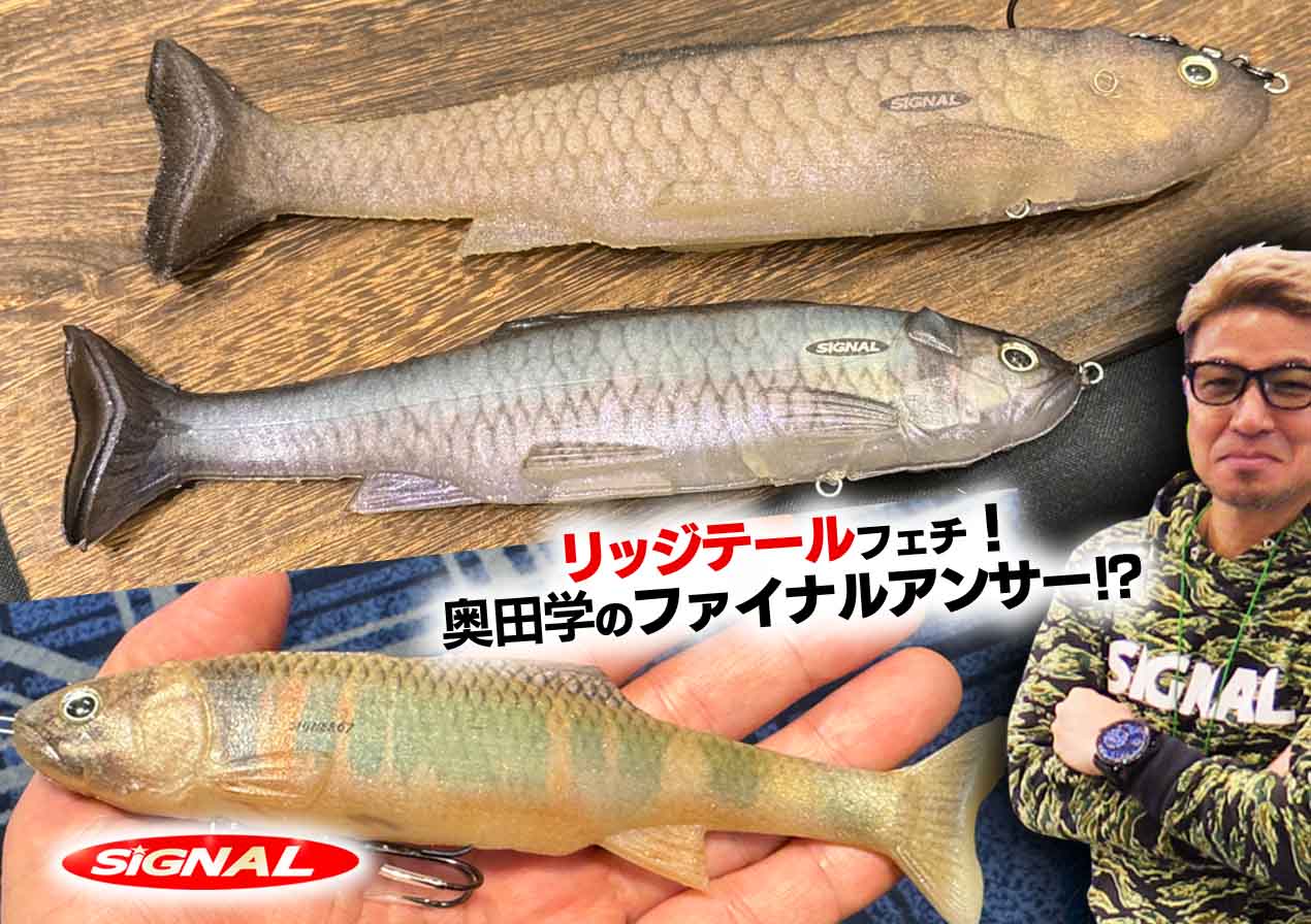 シャイナー67】リッジテールフェチ奥田学の自信作！シグナル初の