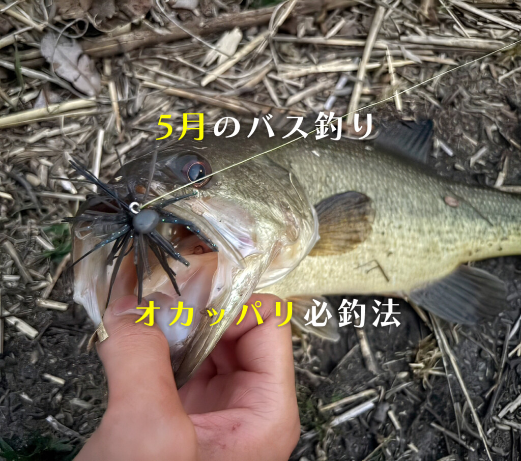 5月のバス釣りオカッパリ必釣法！大江川・五三川の「雰囲気詐欺」に騙