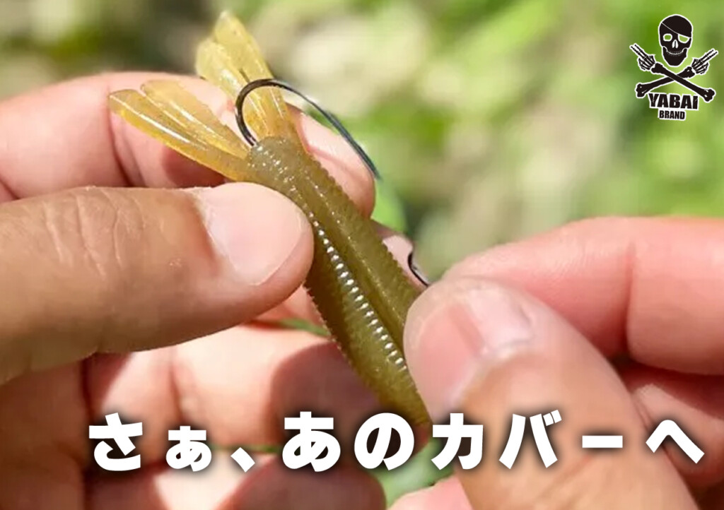 気になる春のカバーにヌルっと「エビタヌキ」 | 釣りの総合ニュース