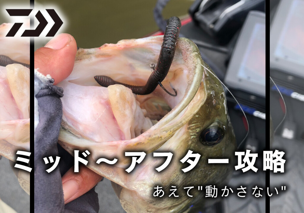 ミッド～アフター攻略】ネコリグをあえて”動かさない”。ナーバスな春