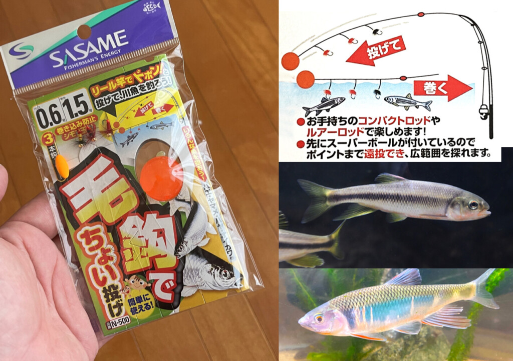 超簡単に川の魚 (オイカワやカワムツなど)を狙ってみたい人にオススメ
