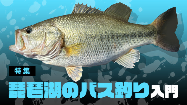 琵琶湖のバス釣り入門2026