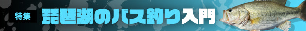 琵琶湖のバス釣り入門