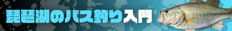琵琶湖のバス釣り入門2026