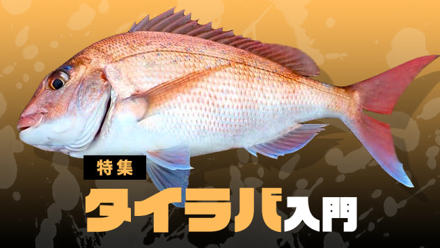 タイラバ入門2026