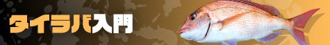 タイラバ入門2026
