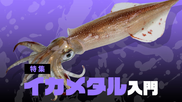 イカメタル入門2026