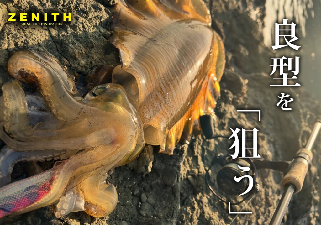 デカイカ釣れてます】良型を”狙う”ための軽さと感度。ゼニス「AIM