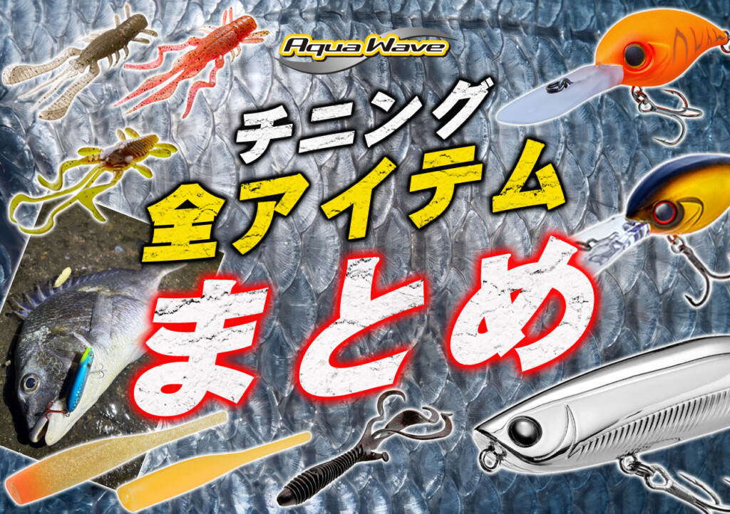 チニング新時代】定番のフリーリグから話題のマイクロワインドに