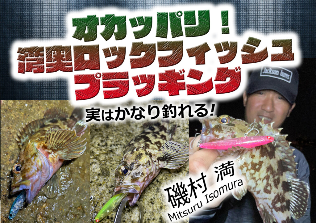 オカッパリ！湾奥ロックフィッシュ・プラッギングゲーム【実はかなり