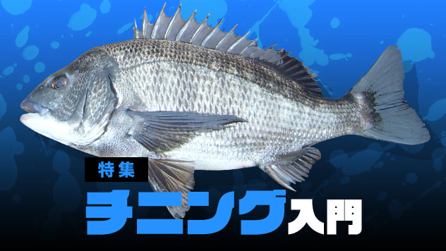 チニング入門2026