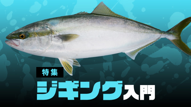 ジギング入門2026