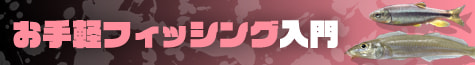 お手軽フィッシング入門