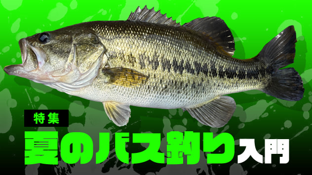 夏のバス釣り入門2026