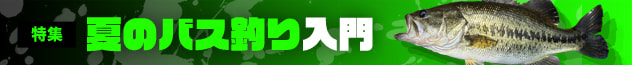 夏のバス釣り入門