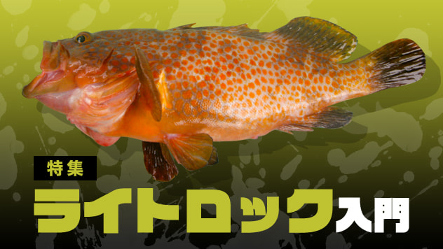 ライトロック入門