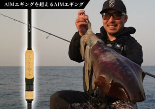AIMエギング