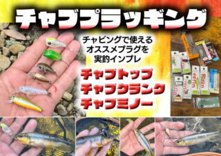チャブプラ【チャビングのプラッギング】は超楽しいですね！チャブトップ、チャブクランク、チャブミノーなど何でも使える