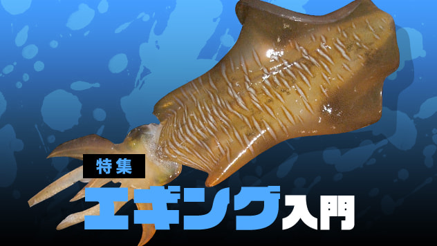 エギング入門