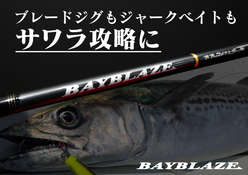 TENRYU テンリュウ　天龍　サワラ　ブレードジギング　サワラキャスティング　ベイブレイズ