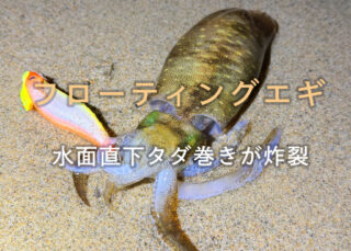 フローティングエギの水面直下タダ巻きが炸裂
