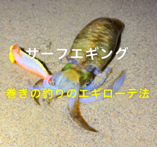 サーフエギング、巻きのエギング