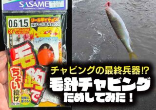 【毛針チャビング】チャビングの秘密兵器⁉ スーパーボールの付いた毛バリ仕掛け「毛鈎でちょい投げ3本鈎」を試してみた!