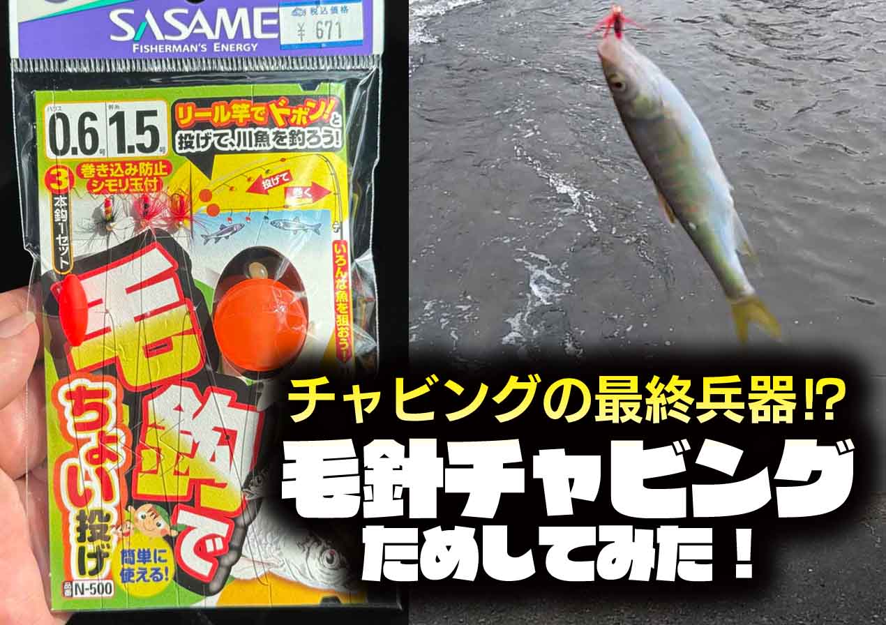 【毛針チャビング】チャビングの秘密兵器⁉　スーパーボールの付いた毛バリ仕掛け「毛鈎でちょい投げ3本鈎」を試してみた！