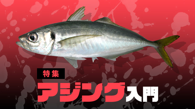 アジング入門