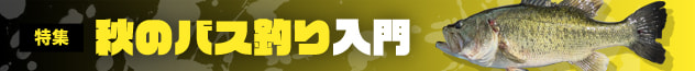 秋のバス釣り入門