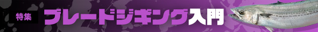 ブレードジギング入門