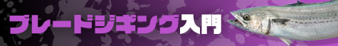 ブレードジギング入門2026