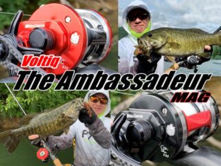 Ambassadeur VOLTIQ Ambassadeur MAG