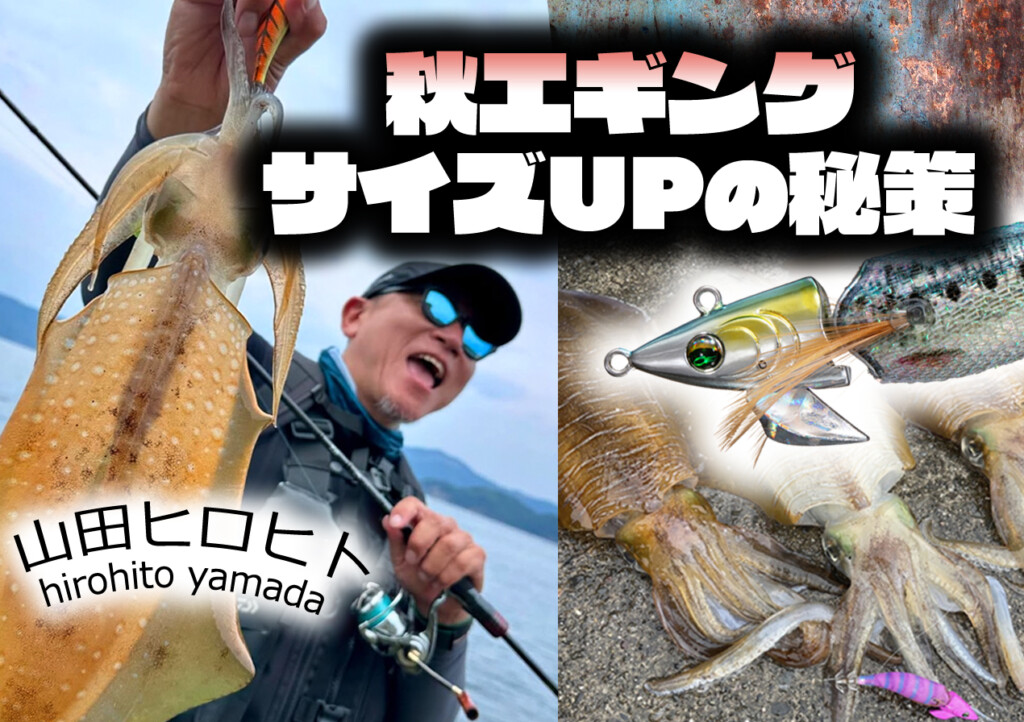 山田ヒロヒトが明かす！秋エギング・サイズUPの秘策！