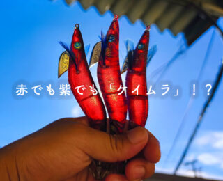赤でも紫でも「ケイムラ」！？
