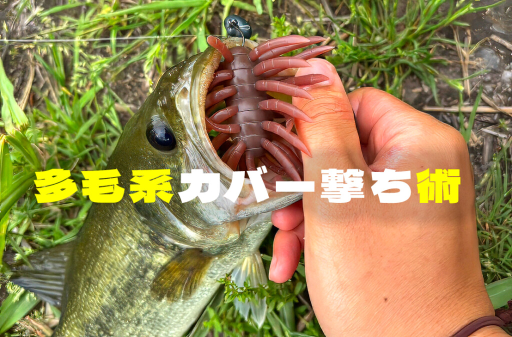 オカッパリ！秋のどちゃ濁り増水を完全攻略！激変フィールドを制する「多毛系カバー撃ち」術
