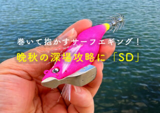 巻いて抱かすサーフエギング!晩秋の深場攻略に、沈下2秒/mの「SD」という選択