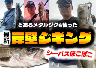 シーバスボコボコ!「メタルエフェクトステイフォール」を使った最新「岸壁ジギング」